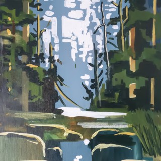 North Shore Coastal Forest | Wild Places