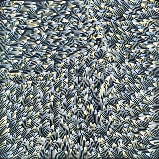 Lily Kelly Napangardi | ArtX Contemporary