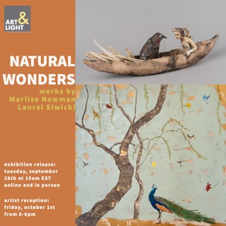 NATURAL WONDER | Marlise Newman and Laurel Siwicki | Art and Light