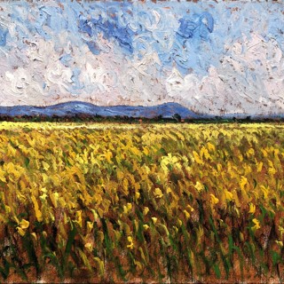 Champ de moutarde, Bourgogne France 24x36 Champ de moutarde, Bourgogne France 24x36