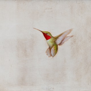 Jessica Pisano | In Flight | 12 x 15 | Oil on Panel Jessica Pisano | In Flight | 12 x 15 | Oil on Panel
