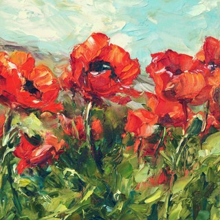 Red Poppies | Oil on Canvas | 12 x 12