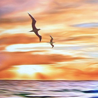 Hawaii Artists | Hawaii Local Artists | Sunshine Arts Gallery