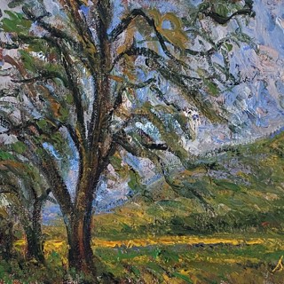 Trees, Bekaa valley 12x16 Trees, Bekaa valley 12x16
