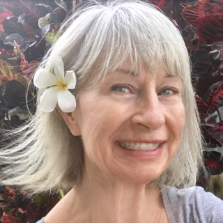 Carol Collette | Sunshine Arts Gallery