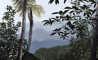 Rex Turnbull Rex Turnbull