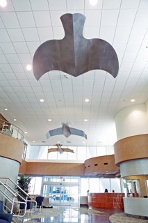 Curating an art collection for your corporate space | Michael Murphy Gallery Curating an art collection for your corporate space | Michael Murphy Gallery