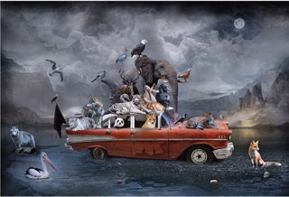 Marcin Owczarek: A Photographic Dreamsculptor's Journey in