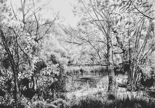 The River Bank by Conchita Bardají The River Bank by Conchita Bardají