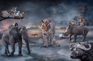 Marcin Owczarek: A Photographic Dreamsculptor's Journey in