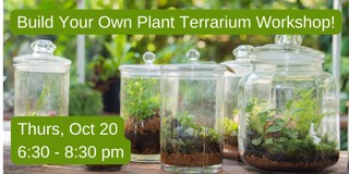 Build Your Own Plant Terrarium with vermilion | Fountain House Gallery Build Your Own Plant Terrarium with vermilion | Fountain House Gallery