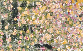 Debra Hutton Debra Hutton