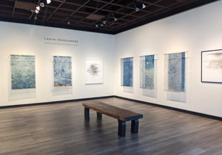 Caryn Friedlander | When Water Becomes Light | ArtX Contemporary