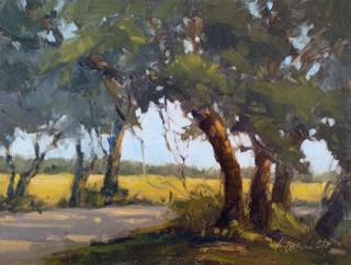 Workshops | Anderson Fine Art Gallery Workshops | Anderson Fine Art Gallery
