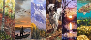 sporting and wildlife fine art banner sporting and wildlife fine art banner
