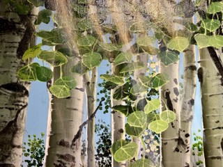 Transition of the Seasons ISABELLA GARAFFA from the depths of Winter to..... | Aspen Art Gallery Transition of the Seasons ISABELLA GARAFFA from the depths of Winter to..... | Aspen Art Gallery