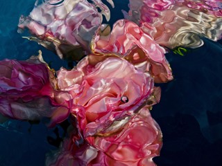 Gilles Bensimon In Bloom and Obsessed with Water Space Gallery