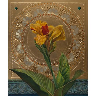 West Hartford Canna by Fred Wessel West Hartford Canna by Fred Wessel