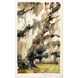 Southern Spanish Moss by David Rawlinson Southern Spanish Moss by David Rawlinson