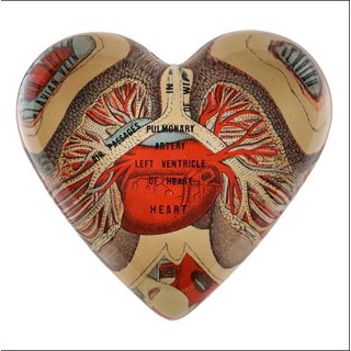 John Derian | Signature Art Gallery John Derian | Signature Art Gallery