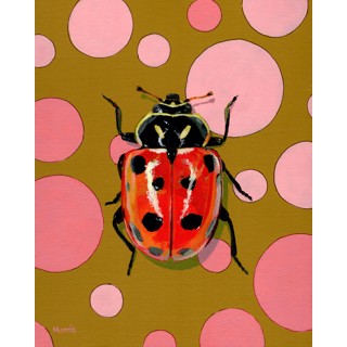 Kevin Morris | Anne Neilson Fine Art