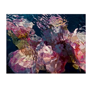 Gilles Bensimon | Space Gallery St Barth