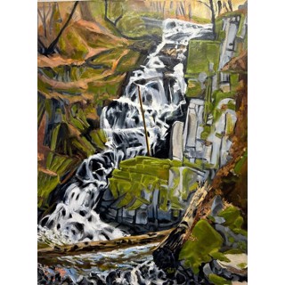 Boulder Creek Falls by Joellyn Duesberry Boulder Creek Falls by Joellyn Duesberry