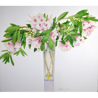 Gary Bukovnik | Andra Norris Gallery