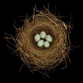 Sharon Beals | Upstart Modern