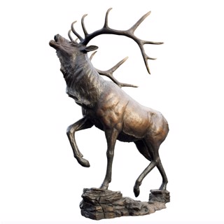 Whitetail by Rip Caswell | Gallery Wild