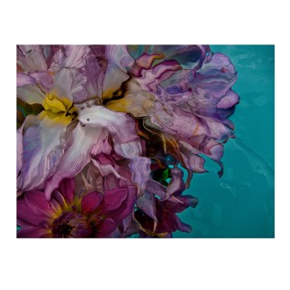 Gilles Bensimon | Space Gallery St Barth