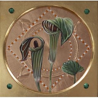 Jack-in the-Pulpit by Fred Wessel Jack-in the-Pulpit by Fred Wessel