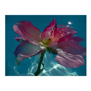 Gilles Bensimon | Space Gallery St Barth