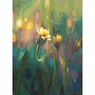 Dandelion Study by Robin Cole Dandelion Study by Robin Cole