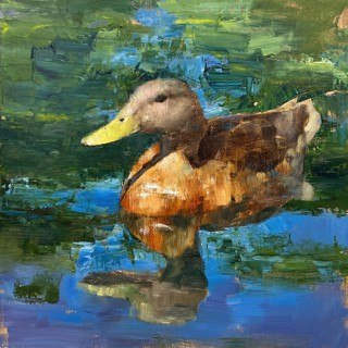 Mallard Study by Scott Conary Mallard Study by Scott Conary