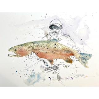 Catch & Release (Sheraton) by David Rawlinson Catch & Release (Sheraton) by David Rawlinson