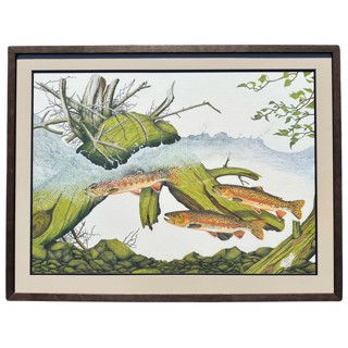 New Arrivals - Copy | Freed Gallery