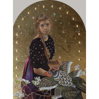 The Constellation Delphinus by Fred Wessel The Constellation Delphinus by Fred Wessel