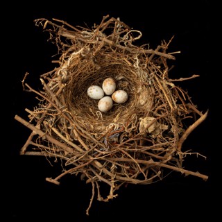 Sharon Beals | Upstart Modern