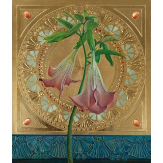 Brugmansia Datura (Big Pink) by Fred Wessel Brugmansia Datura (Big Pink) by Fred Wessel
