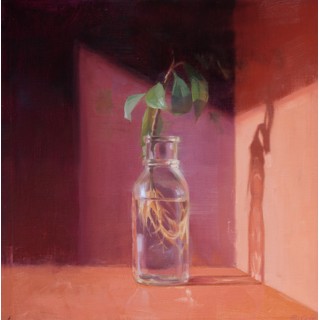 "Pruned" - Still Life Oil Painting by Robin Cole "Pruned" by Robin Cole, a still life oil on mounted linen painting of 12 x 12 inches, featuring a glass bottle with fresh clippings cast in soft shadow against a rich crimson background, inside a 17 x 17-inch frame.