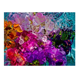 In Bloom I Gilles Bensimon | Space Gallery St Barth