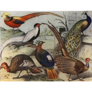 John Derian | Signature Art Gallery