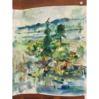 Spruce Tree by Mikael Olson Spruce Tree by Mikael Olson