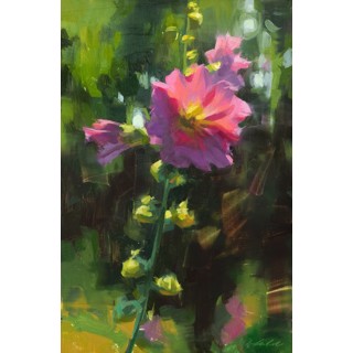 Morning Hollyhock by Robin Cole Morning Hollyhock by Robin Cole
