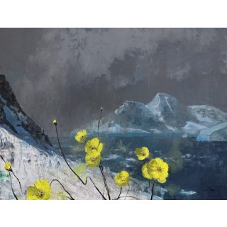 Arctic Blooms by Mia Bergeron Arctic Blooms by Mia Bergeron