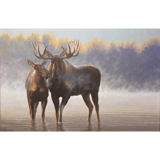 Hansa シマウマ Portraits of Nature art 26009 Tom Mansanarez | Wilcox Gallery