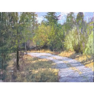 Greg Stone | Susan Eddings Perez Gallery