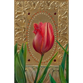 Striped Tulip by Fred Wessel Striped Tulip by Fred Wessel