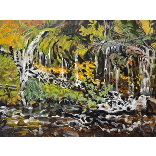 Mossbrae Falls, Dunsmeir, CA by Joellyn Duesberry Mossbrae Falls, Dunsmeir, CA by Joellyn Duesberry